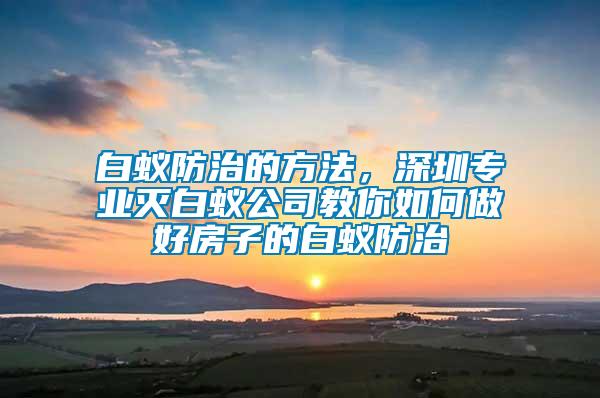 白蟻防治的方法，深圳專業(yè)滅白蟻公司教你如何做好房子的白蟻防治