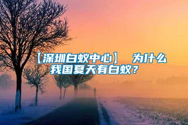 【深圳白蟻中心】 為什么我國夏天有白蟻？