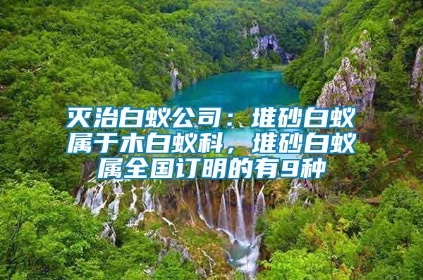 滅治白蟻公司：堆砂白蟻屬于木白蟻科，堆砂白蟻屬全國(guó)訂明的有9種