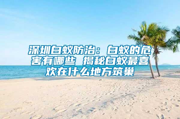 深圳白蟻防治：白蟻的危害有哪些 揭秘白蟻最喜歡在什么地方筑巢