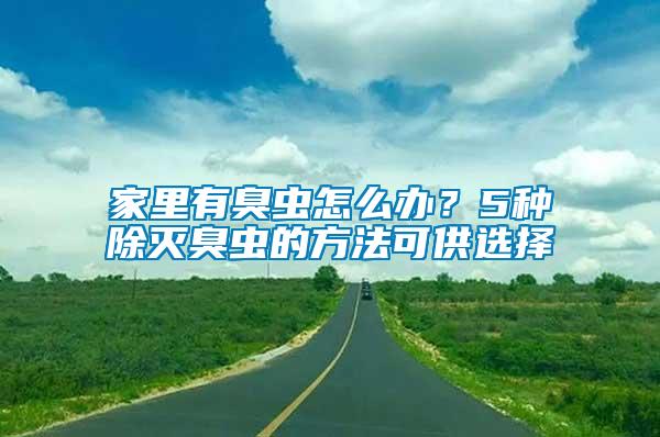 家里有臭蟲怎么辦？5種除滅臭蟲的方法可供選擇