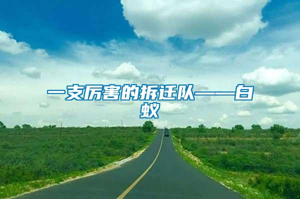 一支厲害的拆遷隊(duì)——白蟻