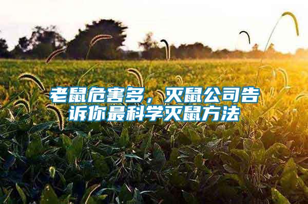 老鼠危害多，滅鼠公司告訴你最科學(xué)滅鼠方法