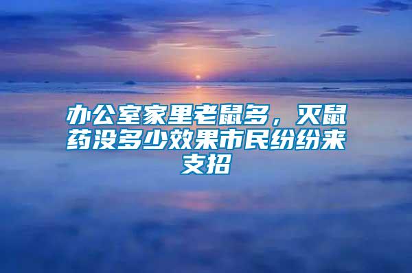 辦公室家里老鼠多，滅鼠藥沒多少效果市民紛紛來支招