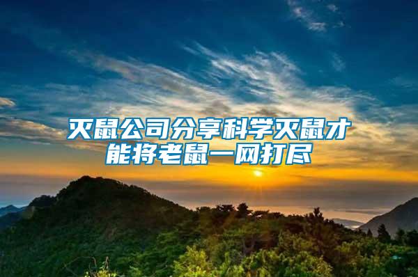 滅鼠公司分享科學(xué)滅鼠才能將老鼠一網(wǎng)打盡