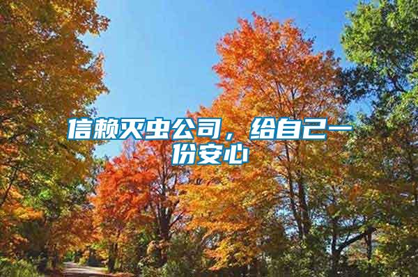 信賴滅蟲公司，給自己一份安心