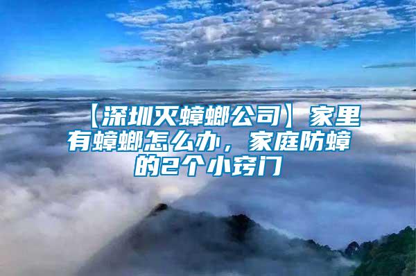 【深圳滅蟑螂公司】家里有蟑螂怎么辦，家庭防蟑的2個小竅門