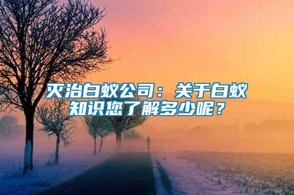 滅治白蟻公司：關(guān)于白蟻知識(shí)您了解多少呢？