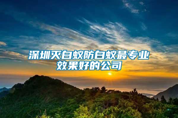 深圳滅白蟻防白蟻最專業(yè)效果好的公司