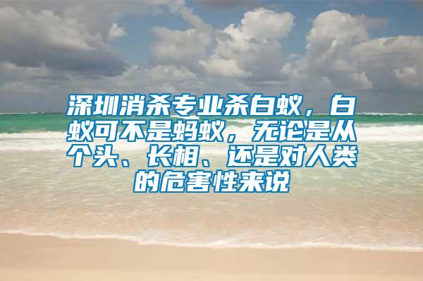 深圳消殺專業(yè)殺白蟻，白蟻可不是螞蟻，無論是從個頭、長相、還是對人類的危害性來說