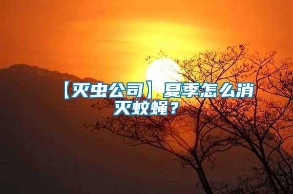 【滅蟲公司】夏季怎么消滅蚊蠅？