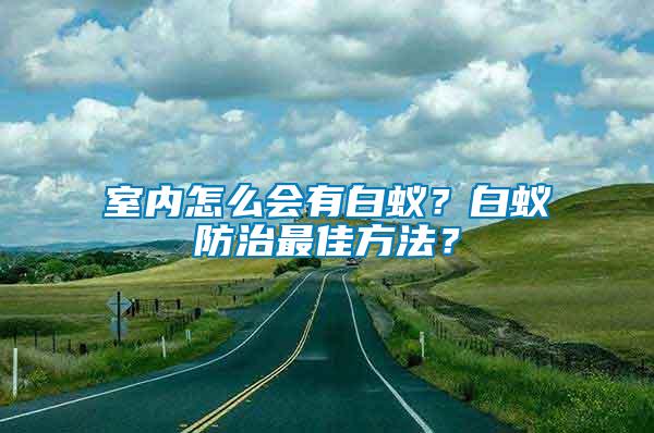 室內(nèi)怎么會有白蟻？白蟻防治最佳方法？