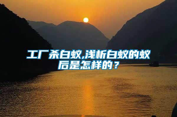 工廠殺白蟻,淺析白蟻的蟻后是怎樣的？