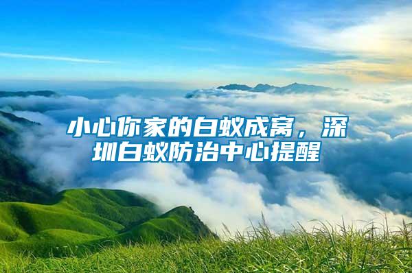 小心你家的白蟻成窩，深圳白蟻防治中心提醒