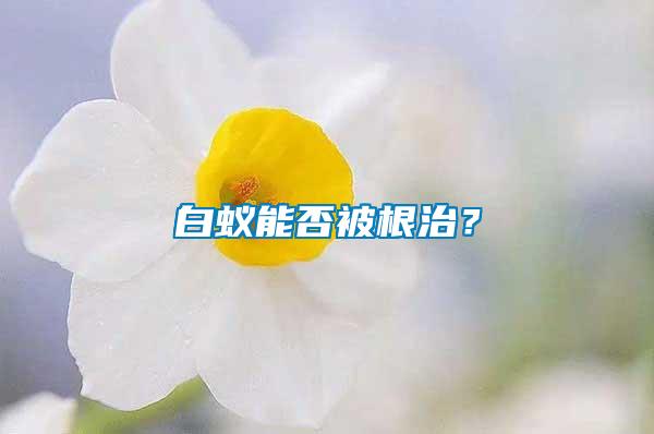 白蟻能否被根治？