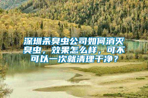 深圳殺臭蟲公司如何消滅臭蟲，效果怎么樣，可不可以一次就清理干凈？