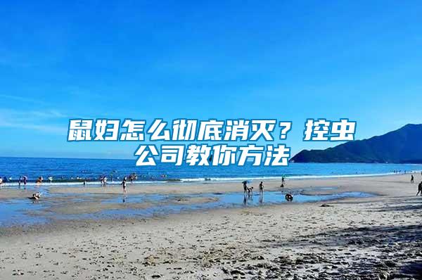 鼠婦怎么徹底消滅？控蟲(chóng)公司教你方法