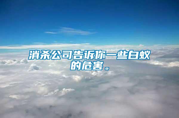 消殺公司告訴你一些白蟻的危害。