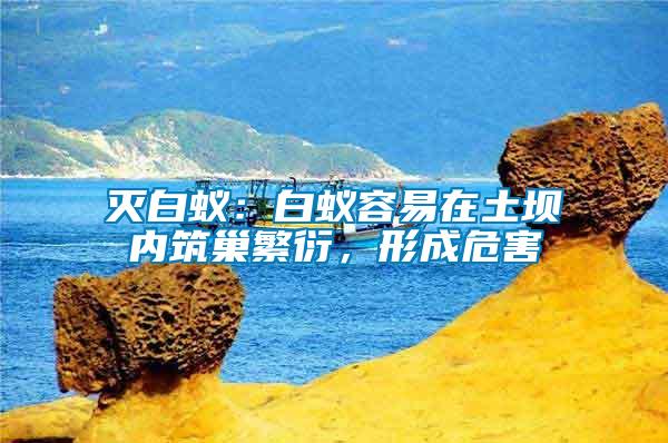 滅白蟻：白蟻容易在土壩內(nèi)筑巢繁衍，形成危害