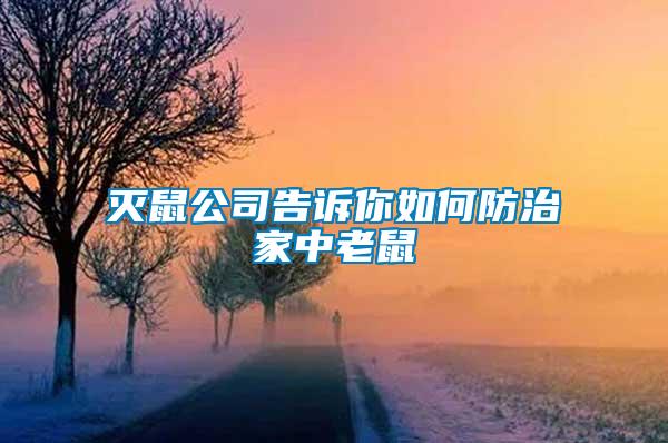 滅鼠公司告訴你如何防治家中老鼠