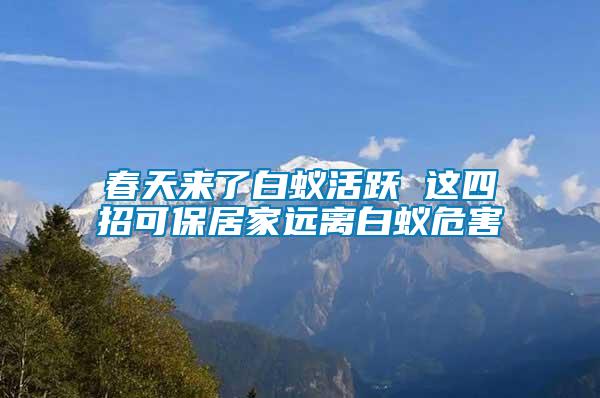 春天來了白蟻活躍 這四招可保居家遠離白蟻危害