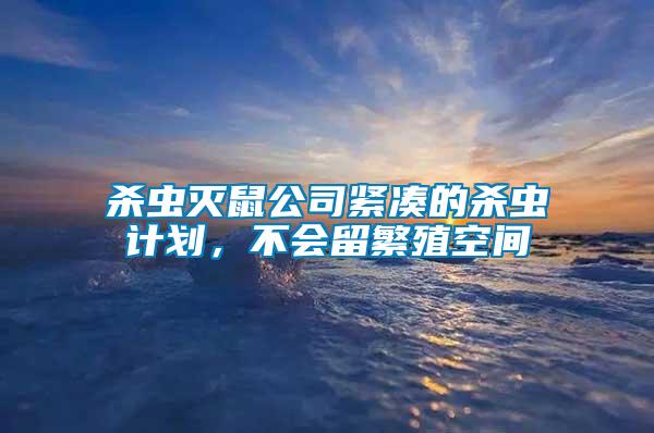 殺蟲滅鼠公司緊湊的殺蟲計劃，不會留繁殖空間