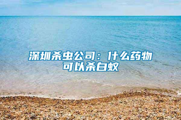 深圳殺蟲公司：什么藥物可以殺白蟻