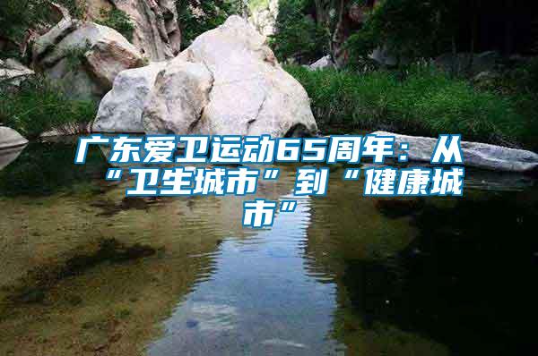 廣東愛衛(wèi)運動65周年：從“衛(wèi)生城市”到“健康城市”