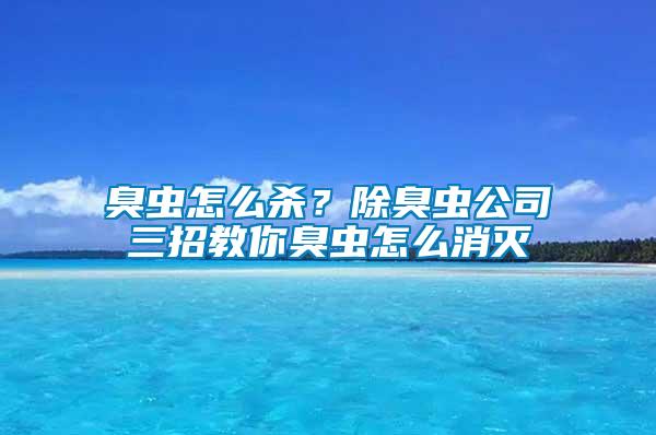 臭蟲怎么殺？除臭蟲公司三招教你臭蟲怎么消滅