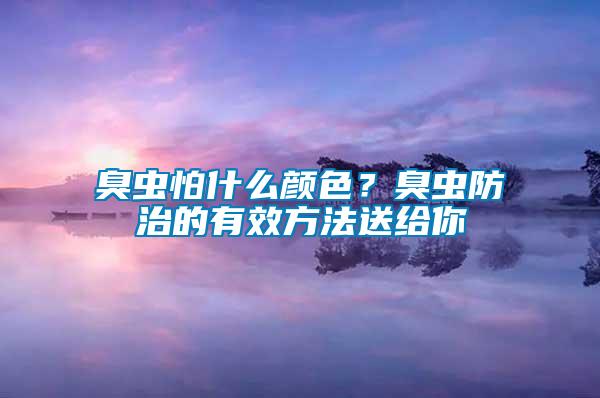 臭蟲怕什么顏色？臭蟲防治的有效方法送給你