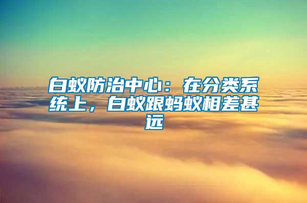 白蟻防治中心：在分類系統(tǒng)上，白蟻跟螞蟻相差甚遠(yuǎn)