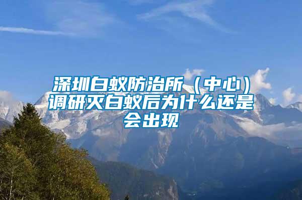 深圳白蟻防治所（中心）調(diào)研滅白蟻后為什么還是會(huì)出現(xiàn)