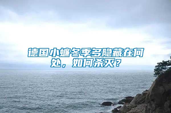 德國小蠊冬季多隱藏在何處，如何殺滅？