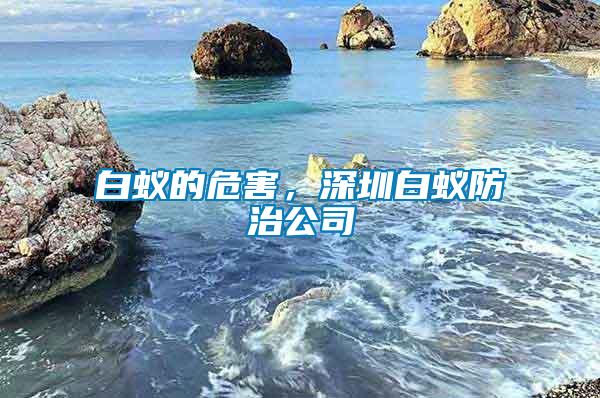 白蟻的危害，深圳白蟻防治公司