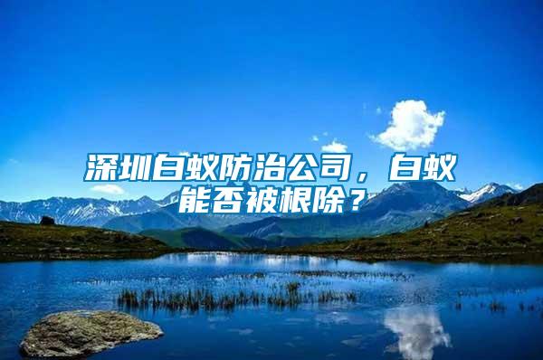 深圳白蟻防治公司，白蟻能否被根除？