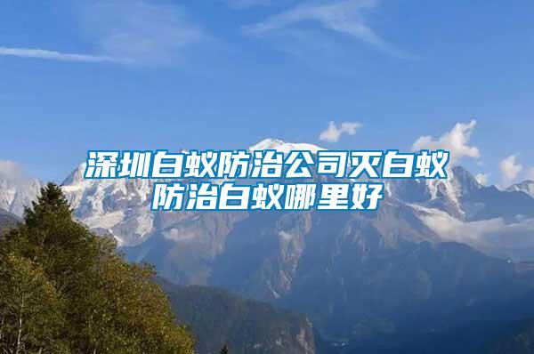 深圳白蟻防治公司滅白蟻防治白蟻哪里好