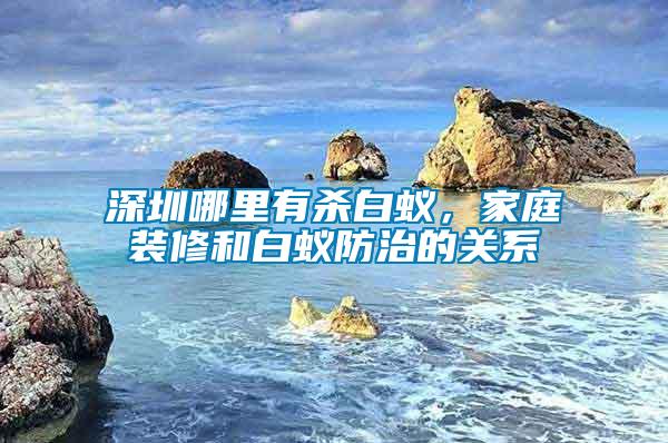 深圳哪里有殺白蟻，家庭裝修和白蟻防治的關系