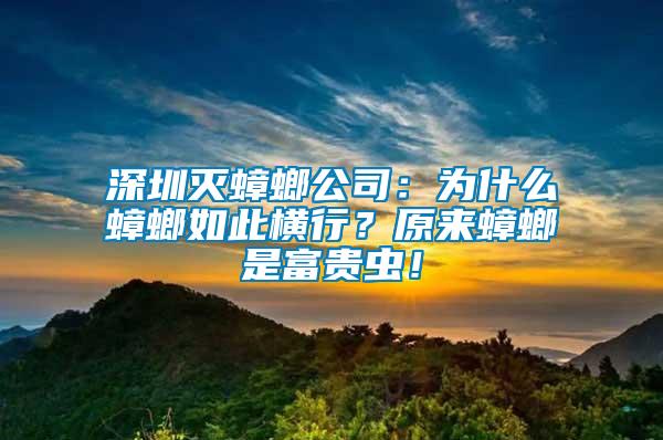 深圳滅蟑螂公司：為什么蟑螂如此橫行？原來蟑螂是富貴蟲！