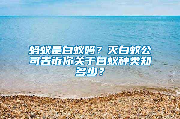 螞蟻是白蟻嗎？滅白蟻公司告訴你關(guān)于白蟻種類知多少？