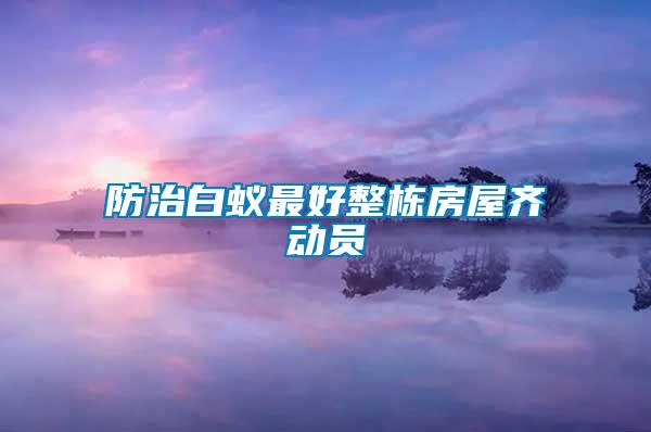 防治白蟻?zhàn)詈谜麠澐课蔟R動員