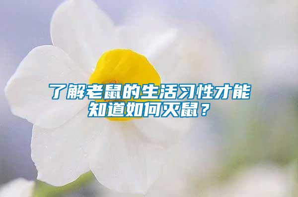 了解老鼠的生活習性才能知道如何滅鼠？