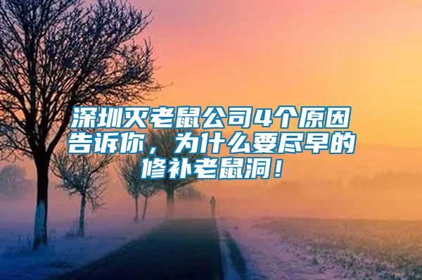 深圳滅老鼠公司4個原因告訴你，為什么要盡早的修補老鼠洞！