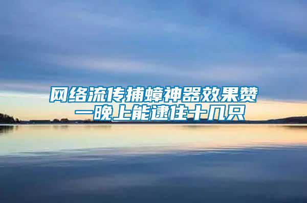 網(wǎng)絡流傳捕蟑神器效果贊 一晚上能逮住十幾只