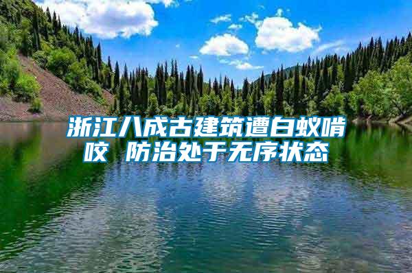 浙江八成古建筑遭白蟻啃咬 防治處于無序狀態(tài)