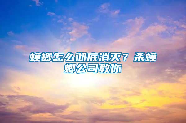 蟑螂怎么徹底消滅？殺蟑螂公司教你