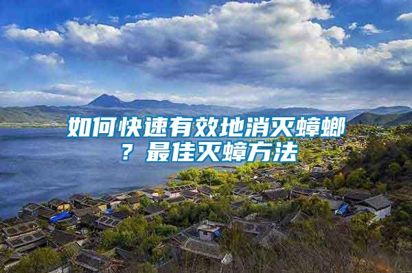 如何快速有效地消滅蟑螂？最佳滅蟑方法