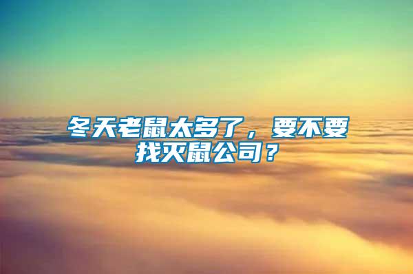 冬天老鼠太多了，要不要找滅鼠公司？