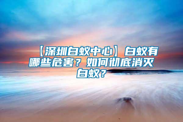 【深圳白蟻中心】白蟻有哪些危害？如何徹底消滅白蟻？