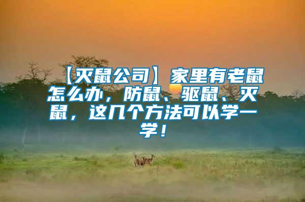 【滅鼠公司】家里有老鼠怎么辦，防鼠、驅(qū)鼠、滅鼠，這幾個(gè)方法可以學(xué)一學(xué)！