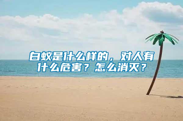 白蟻是什么樣的，對(duì)人有什么危害？怎么消滅？